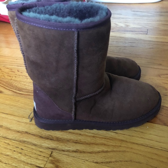 Ugg Classic Purple - Picture 3 of 5
